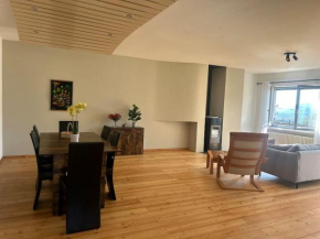 Luxury apartment Lugano
